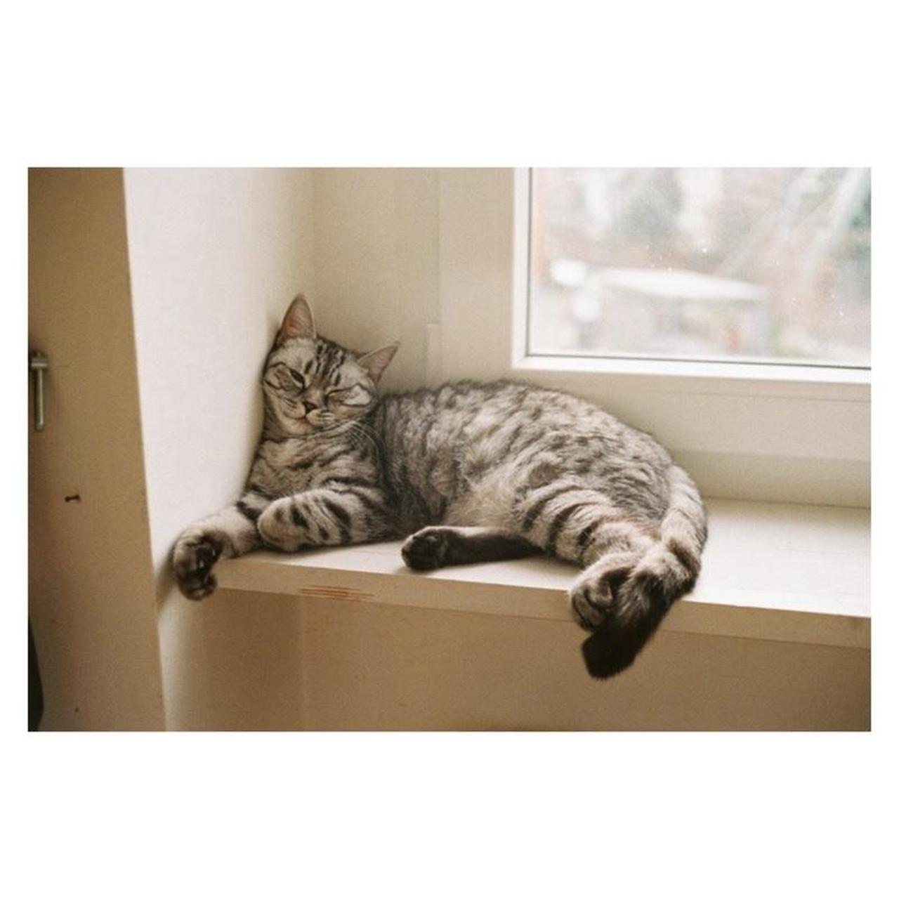 Canon Canonet QL17 Film Camera | 35mm Rangefinder | Tested & Working | Silver & Black