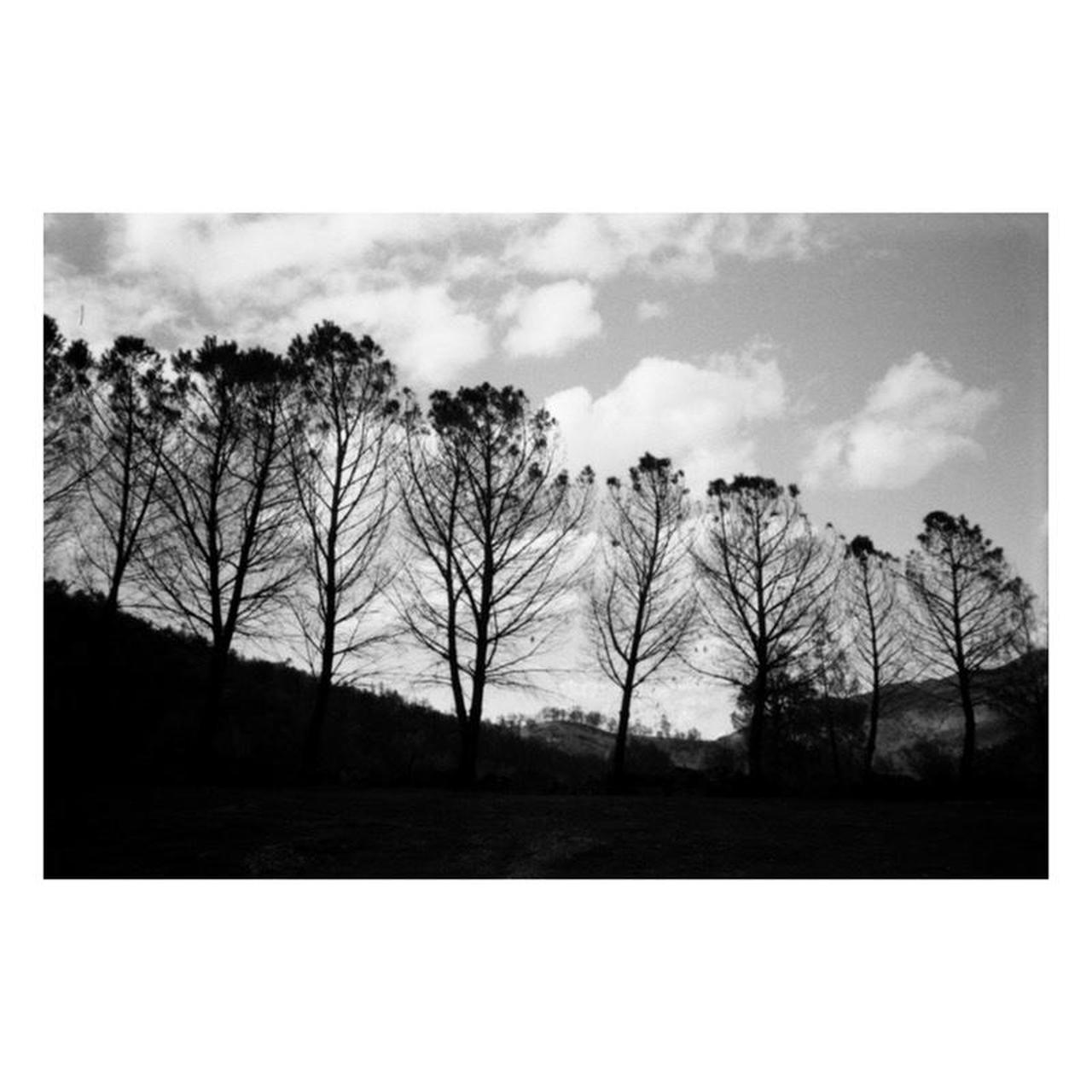 Minolta Big Finder Film Camera | 35mm Point & Shoot | Tested & Working | Grey