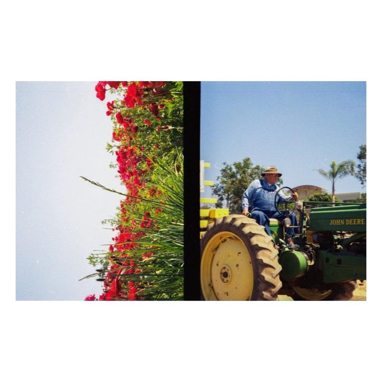 Canon Sure Shot Multi Tele Film Camera | 35mm Point & Shoot | Tested & Working | Black