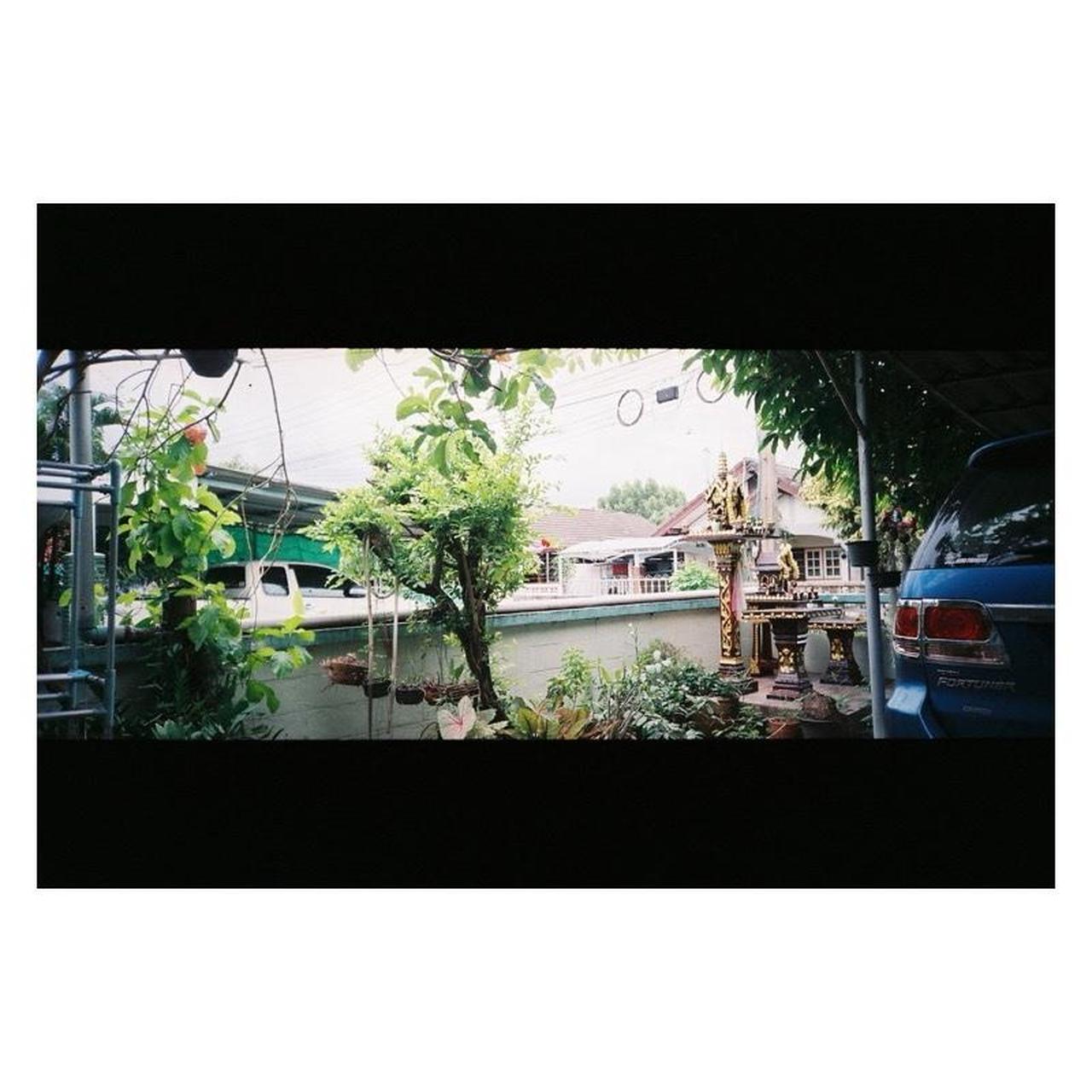 Minolta P’s Film Camera | 35mm Point & Shoot | Tested & Working | Grey