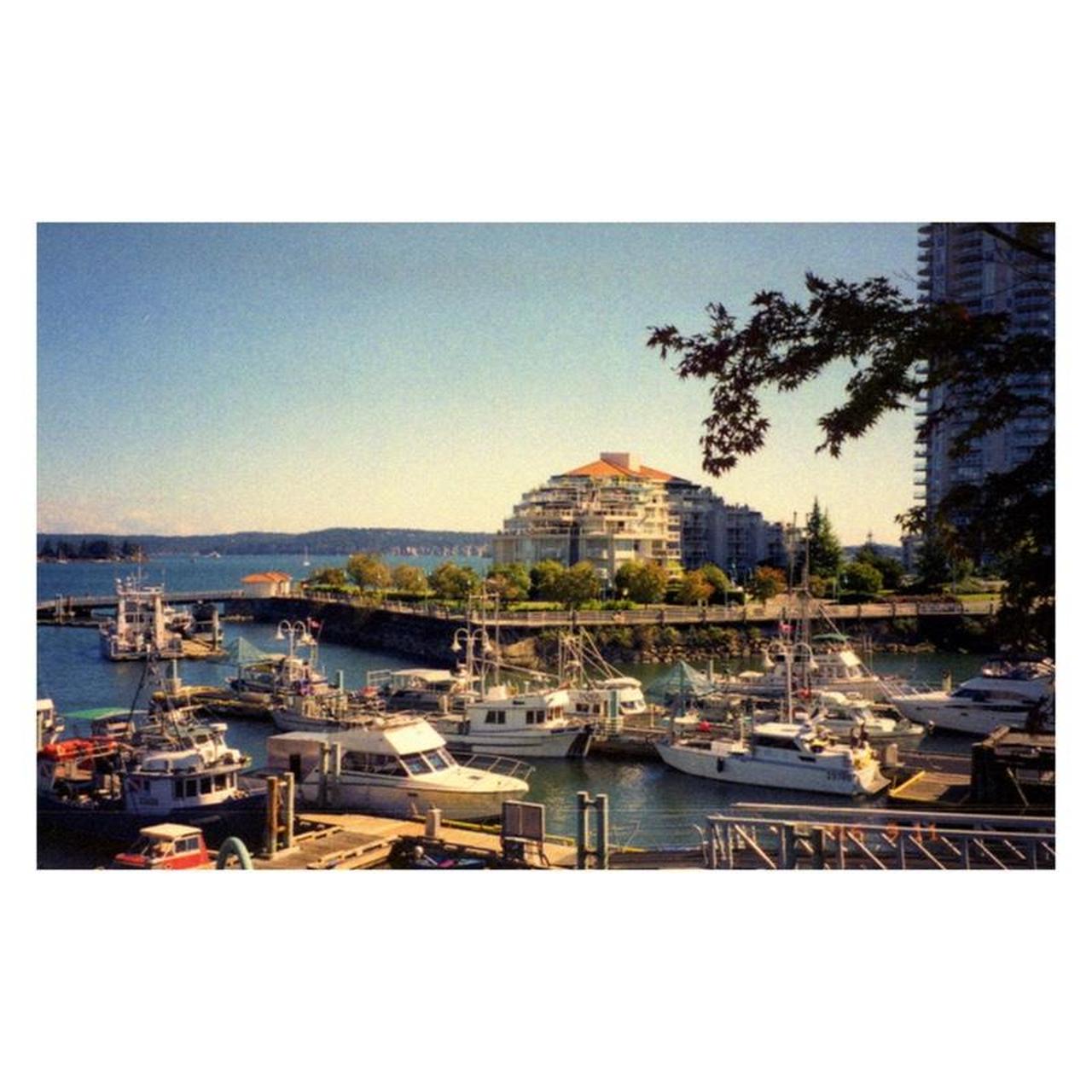 Olympus Stylus Epic Zoom 115 Deluxe Film Camera | 35mm Point & Shoot | Tested & Working | Gold