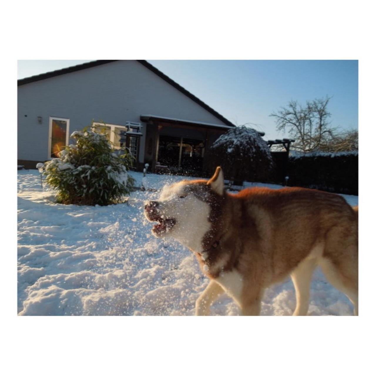 Nikon Coolpix S8200 Digital Camera | 16.1MP | Read Description | Black