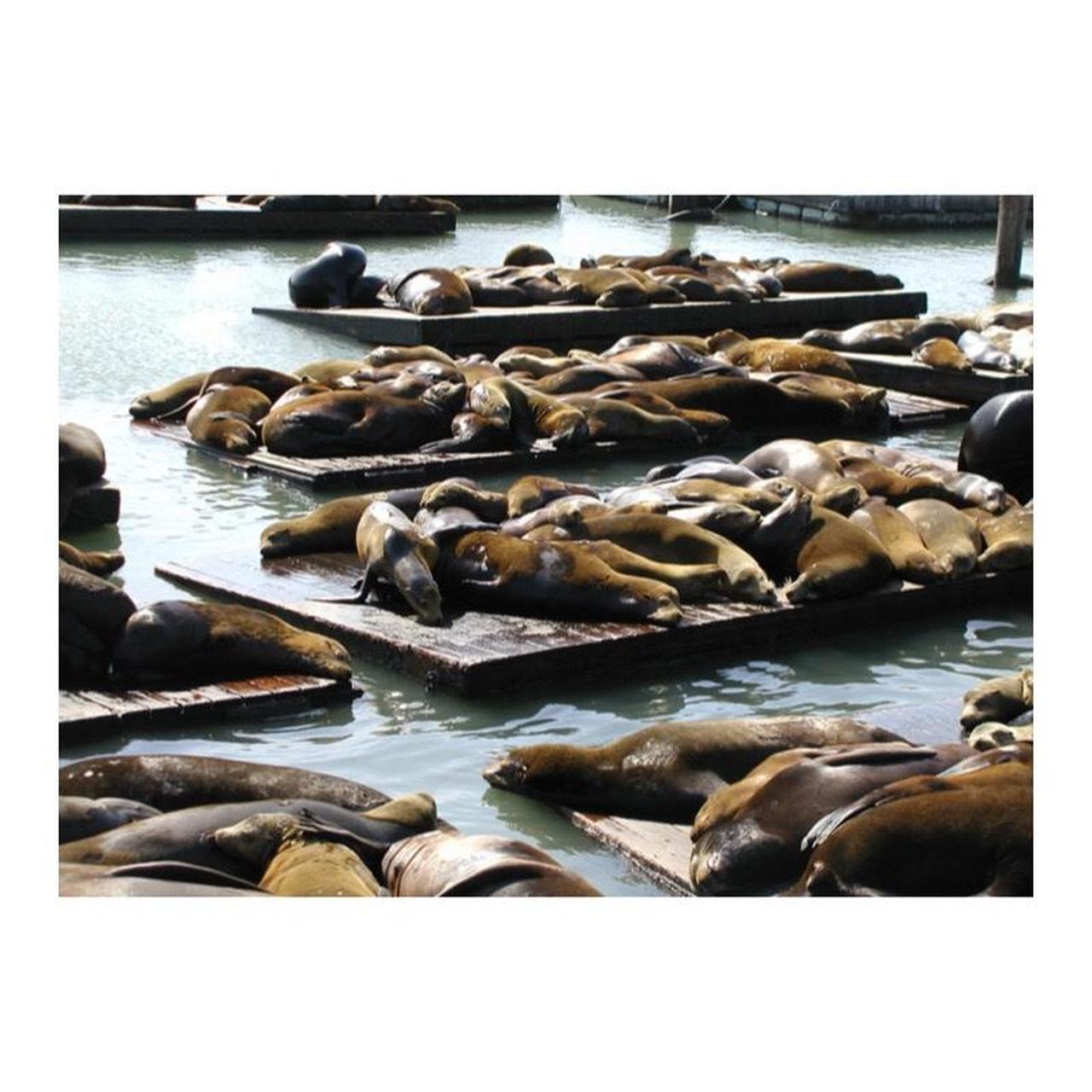 Olympus Camedia C-3020 Zoom Digital Camera | 3.2MP | Tested & Working | Silver