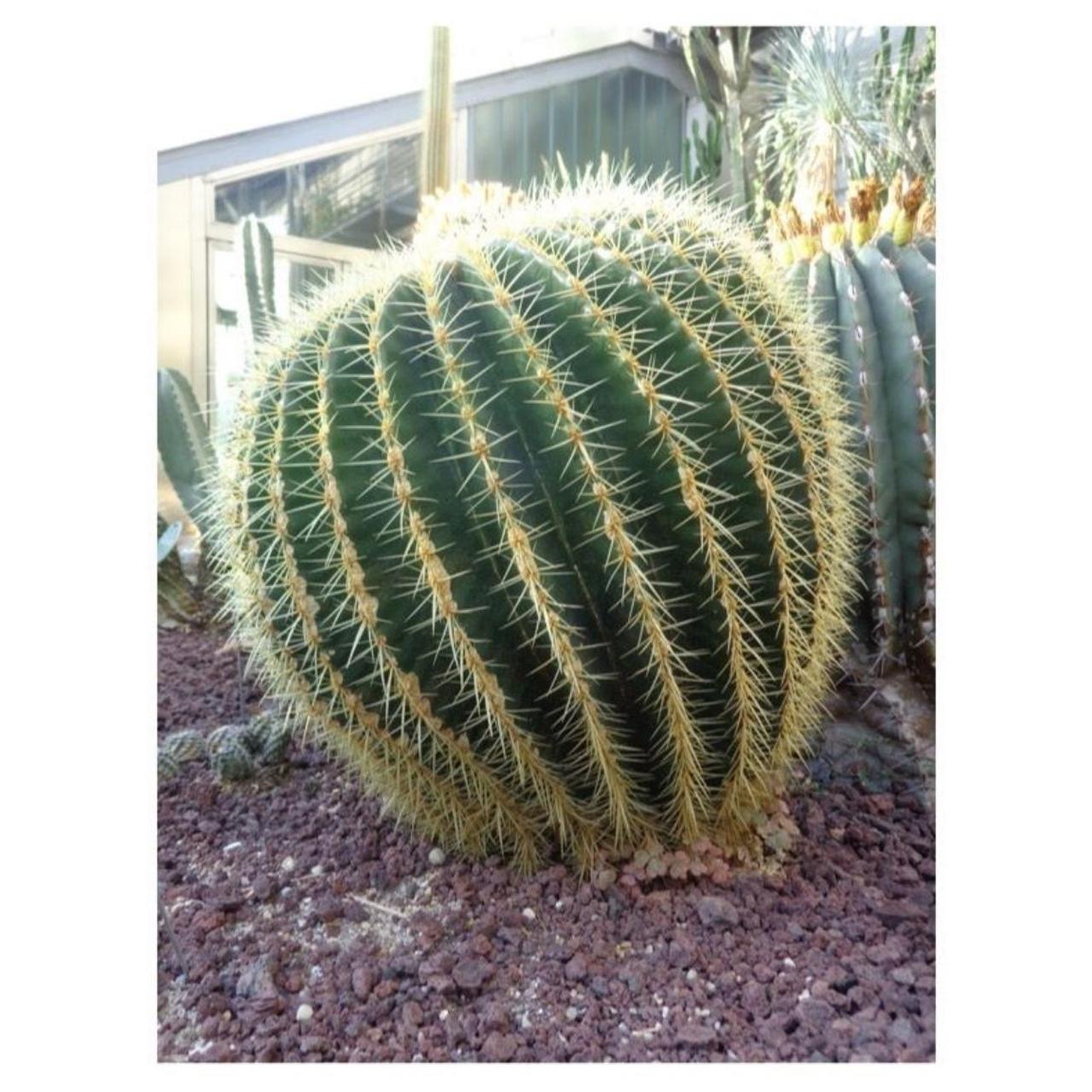 Sony Cyber-shot DSC-H90 Digital Camera | 16.1MP | Tested & Working | Black