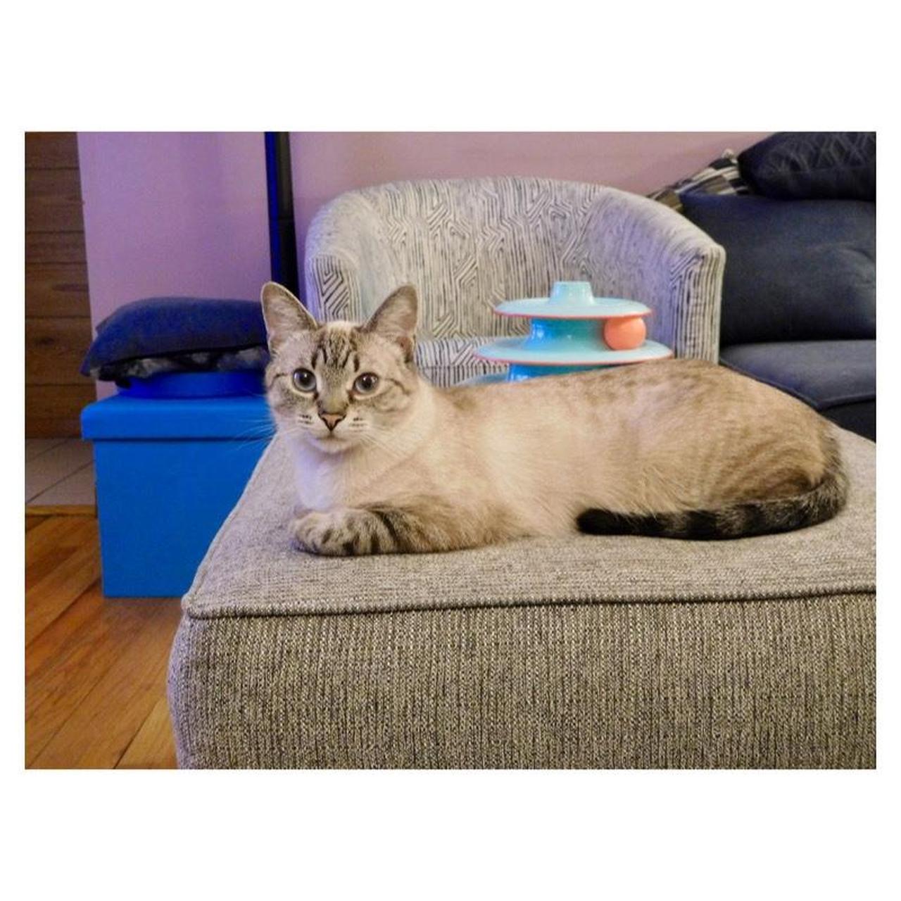 Nikon Coolpix S7000 Digital Camera | 16MP | Tested & Working | Black