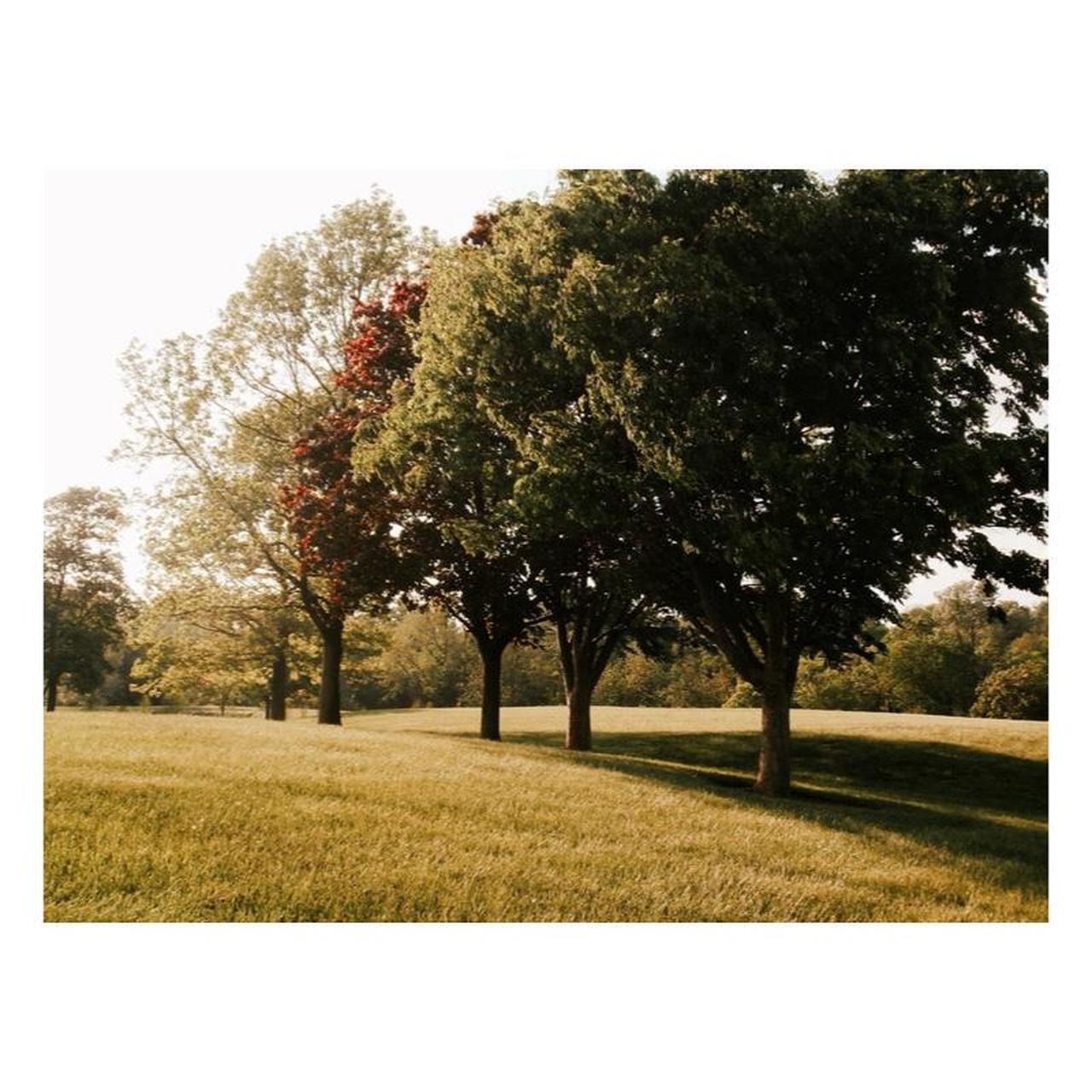 Olympus VR-370 Digital Camera | 16MP | Tested & Working | Red