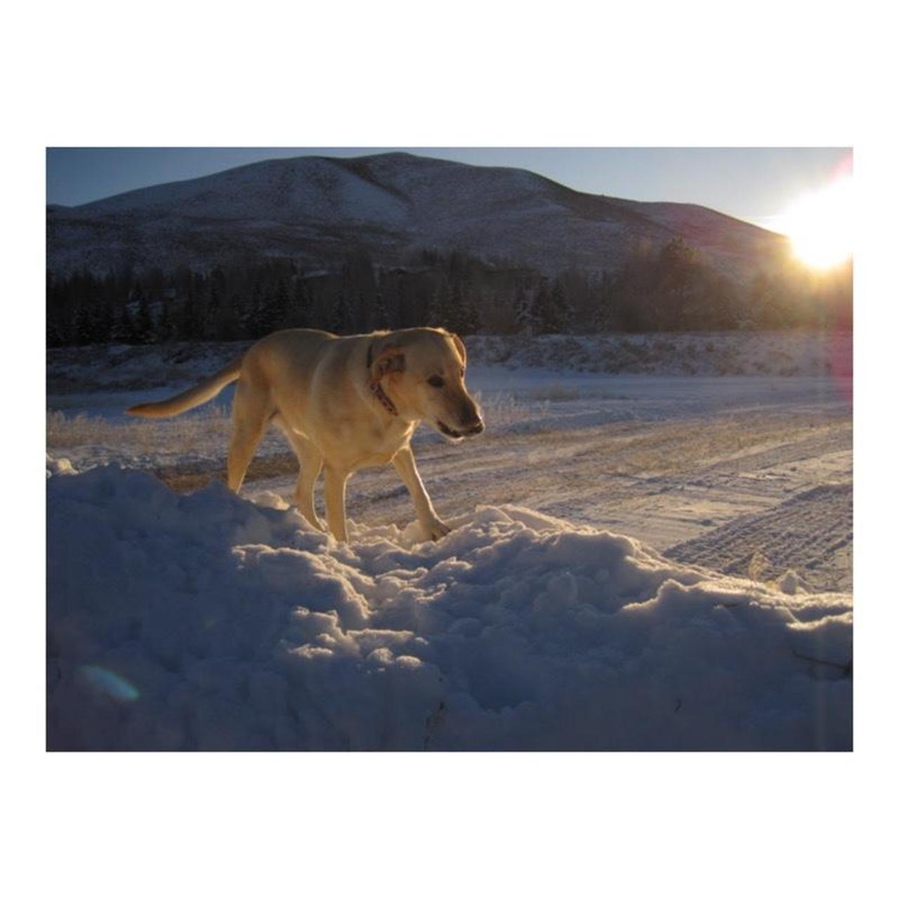 Canon PowerShot SD1200 IS Digital Camera | 10MP | Tested & Working | Blue