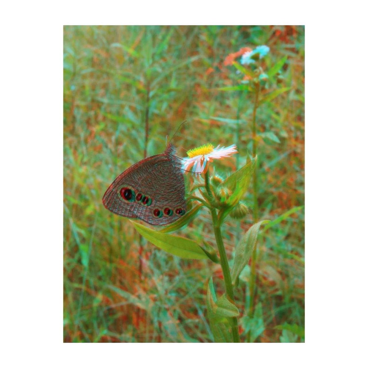 Argus 3D Stereo 35mm Film Camera | Point & Shoot | Tested & Working | Grey