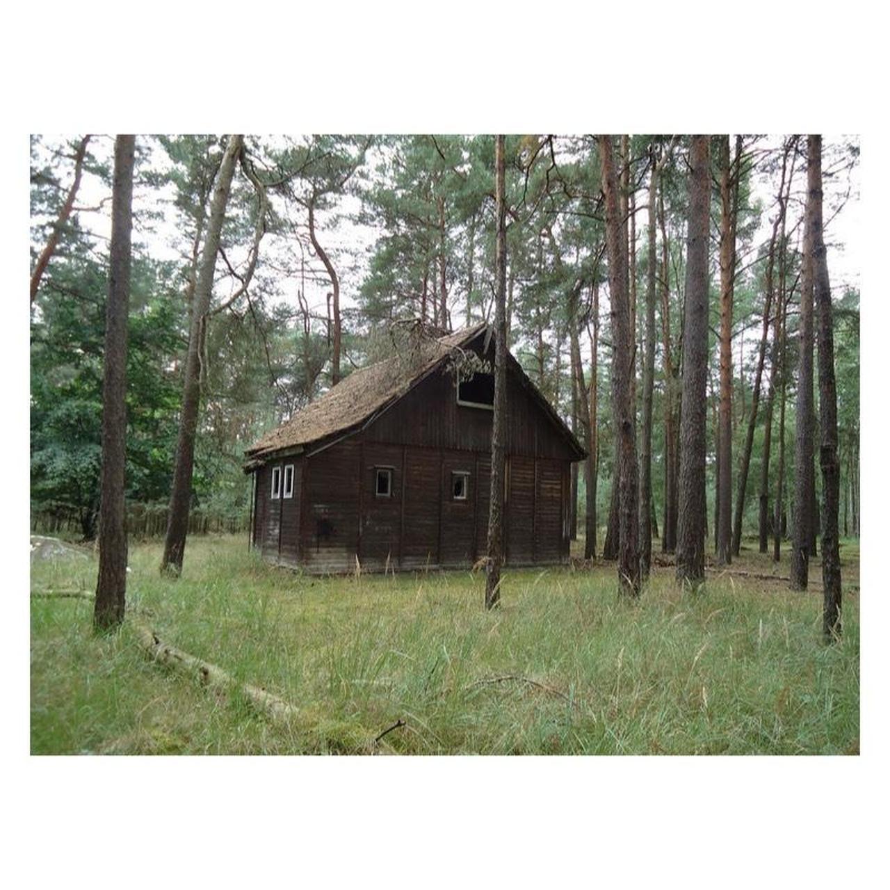 Sony Cyber-shot DSC-W530 Digital Camera | 14.1MP | Tested & Working | Black