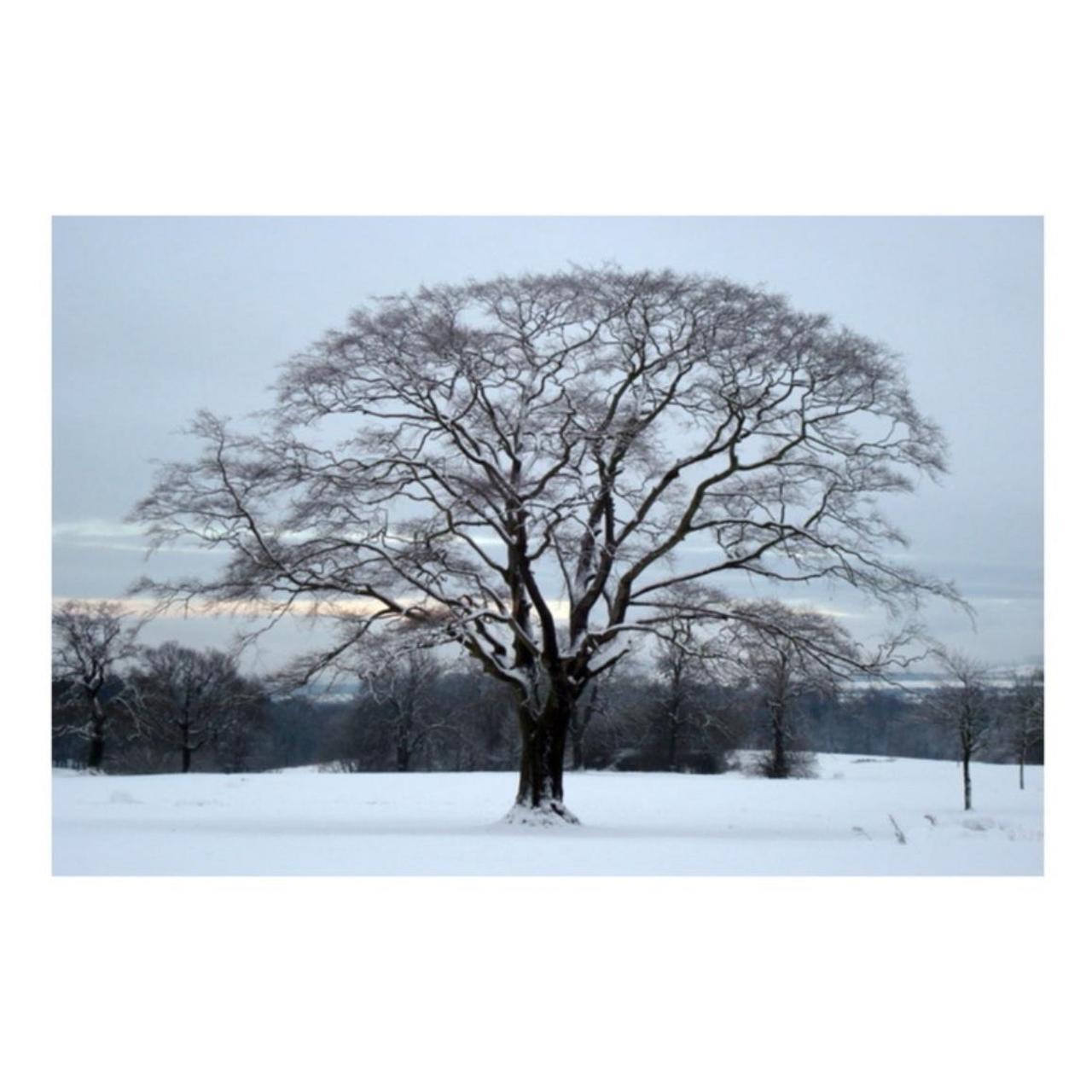 Sony Cyber-shot DSC-W80 Digital Camera | 7.2MP | Tested & Working | Silver