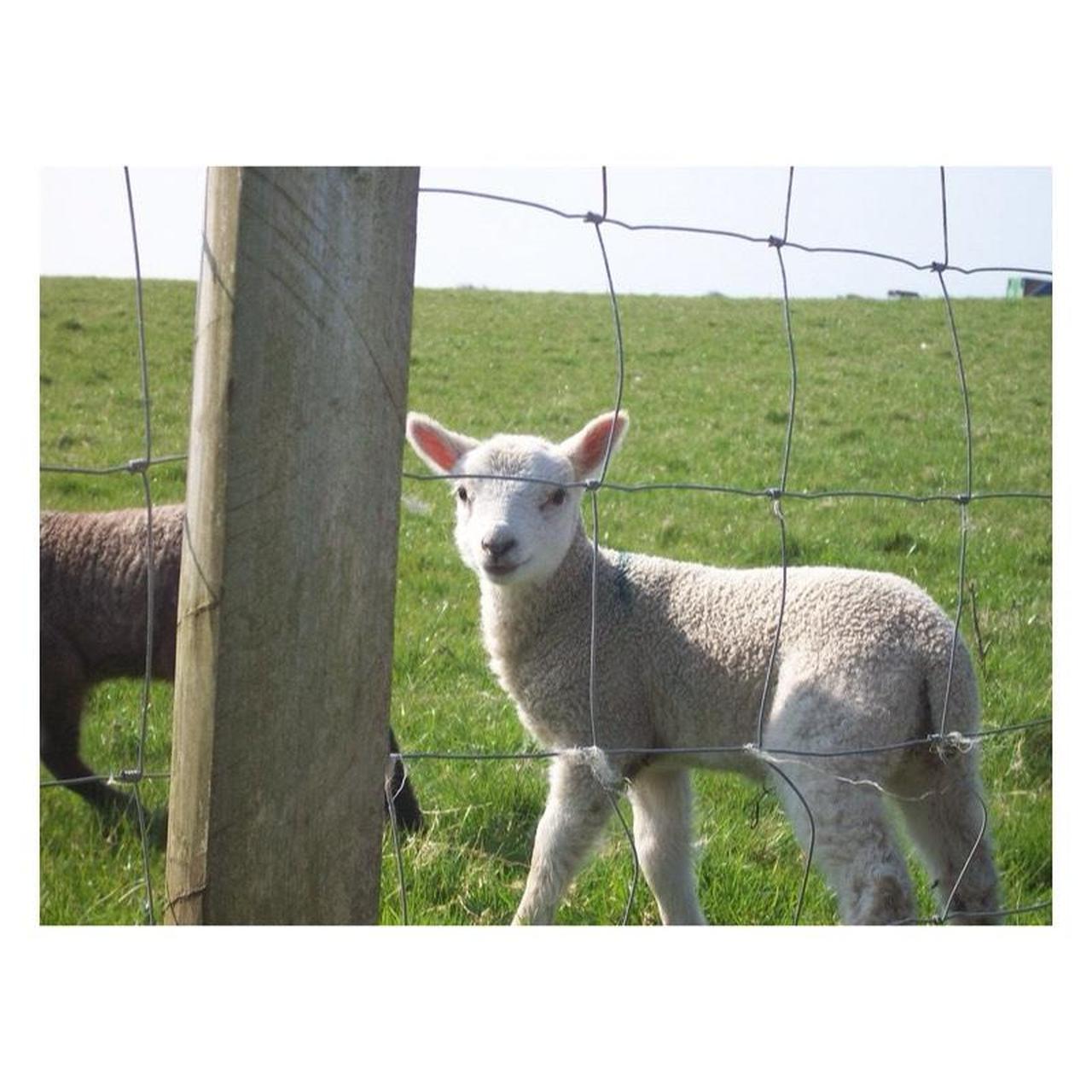 Kodak EasyShare M753 Digital Camera | 7MP | Tested & Working | Silver