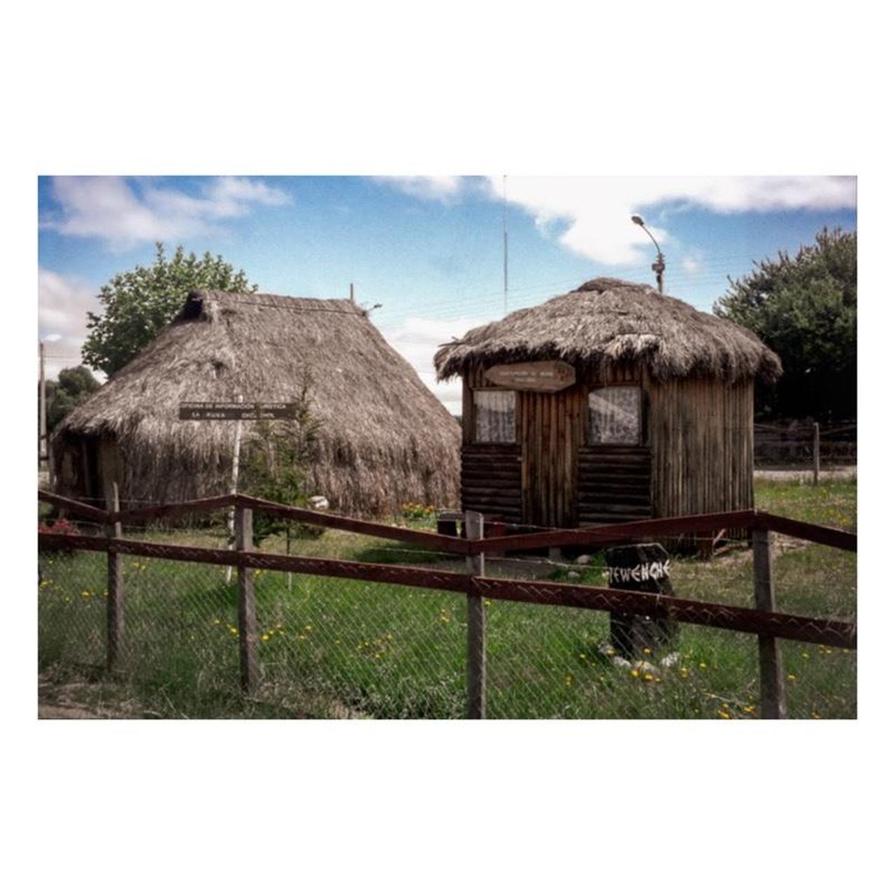 Canon SureShot Z115 Film Camera | 35mm Point & Shoot | Tested & Working | Silver