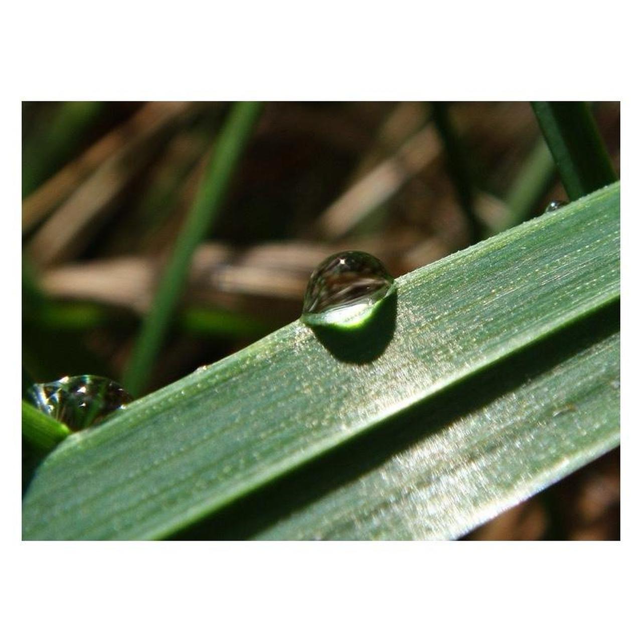 Sony CyberShot DSC-T77 Digital Camera | 10.1MP | Tested & Working | Silver