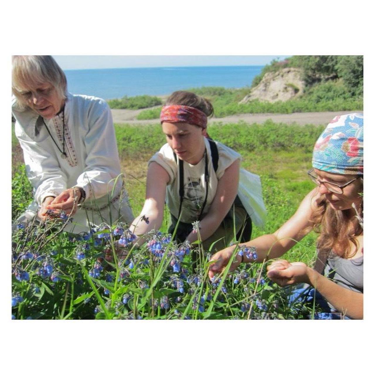 Canon PowerShot SD4000 IS Digital Camera | 10MP | Tested & Working | Black