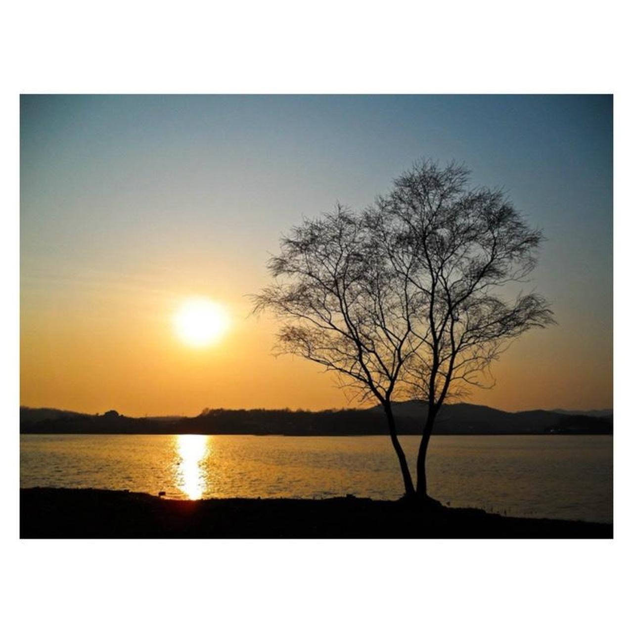 Samsung TL240 Digital Camera | 14.0MP | Tested & Working | Silver