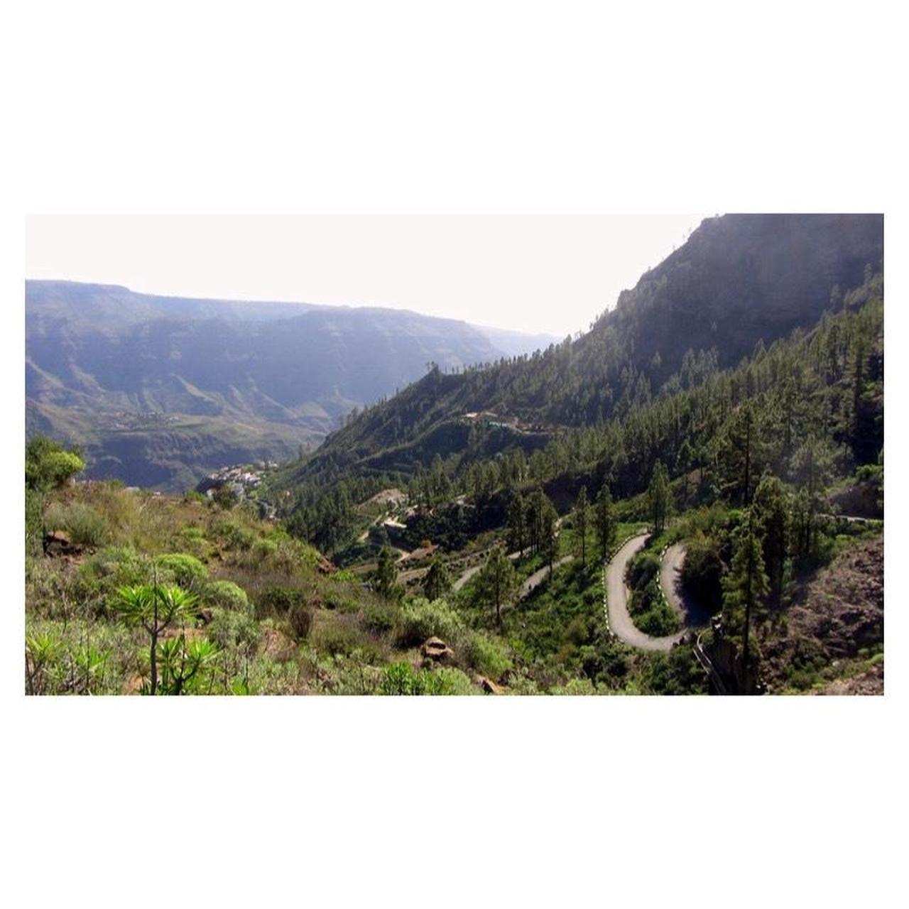 Canon PowerShot SX230 HS Digital Camera | 12.1MP | Tested & Working | Blue