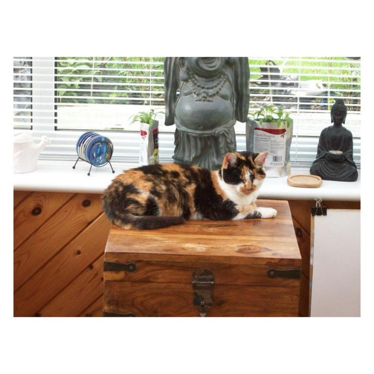 Kodak EasyShare M753 Digital Camera | 7MP | Tested & Working | Orange