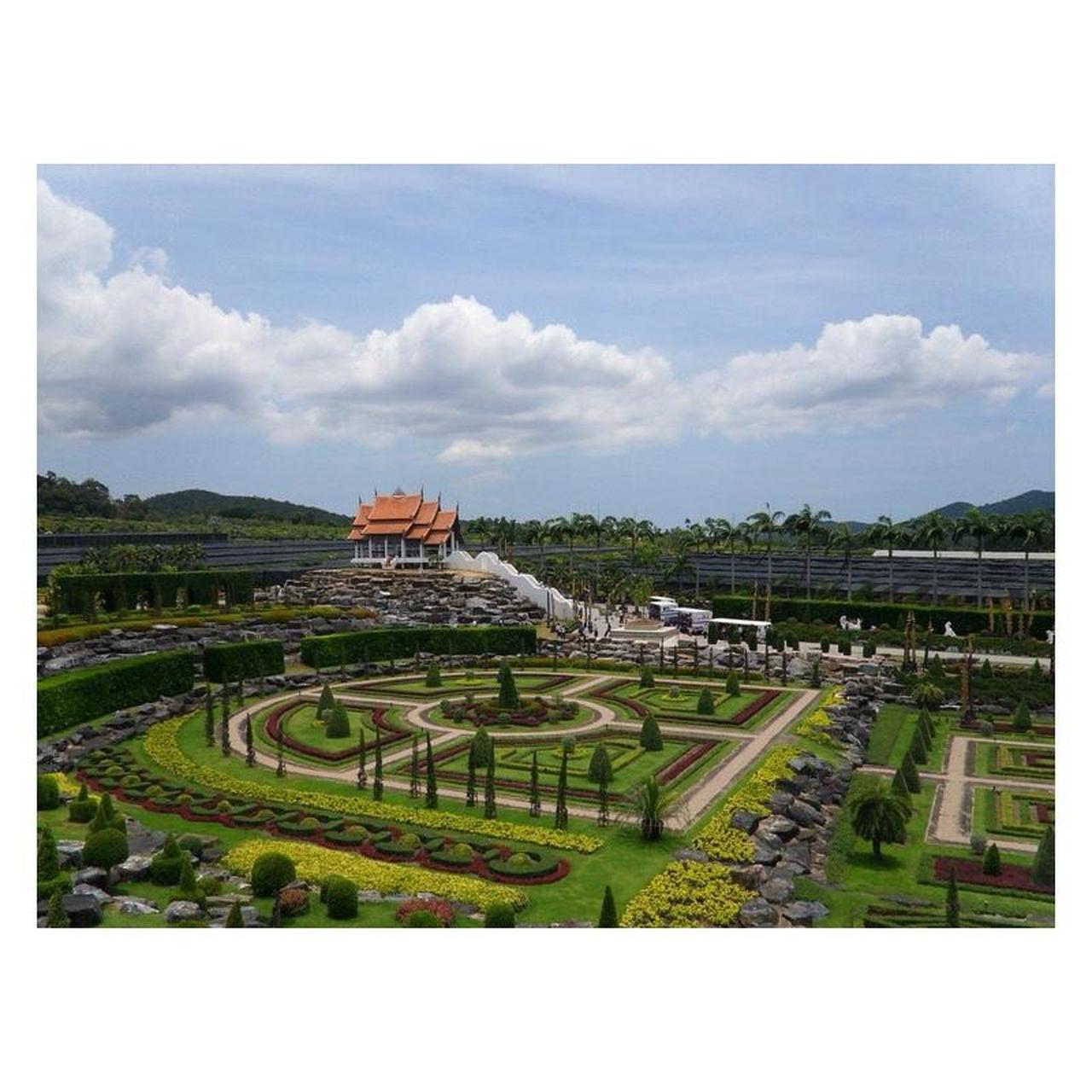 Samsung TL220 Digital Camera | 12.2MP | Tested & Working | Black & Blue