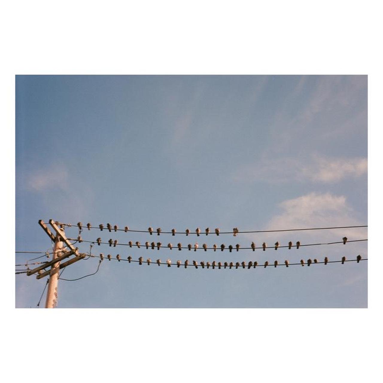 Pentax Espio 120SW II Film Camera | 35mm Point & Shoot | Tested & Working | Light Purple