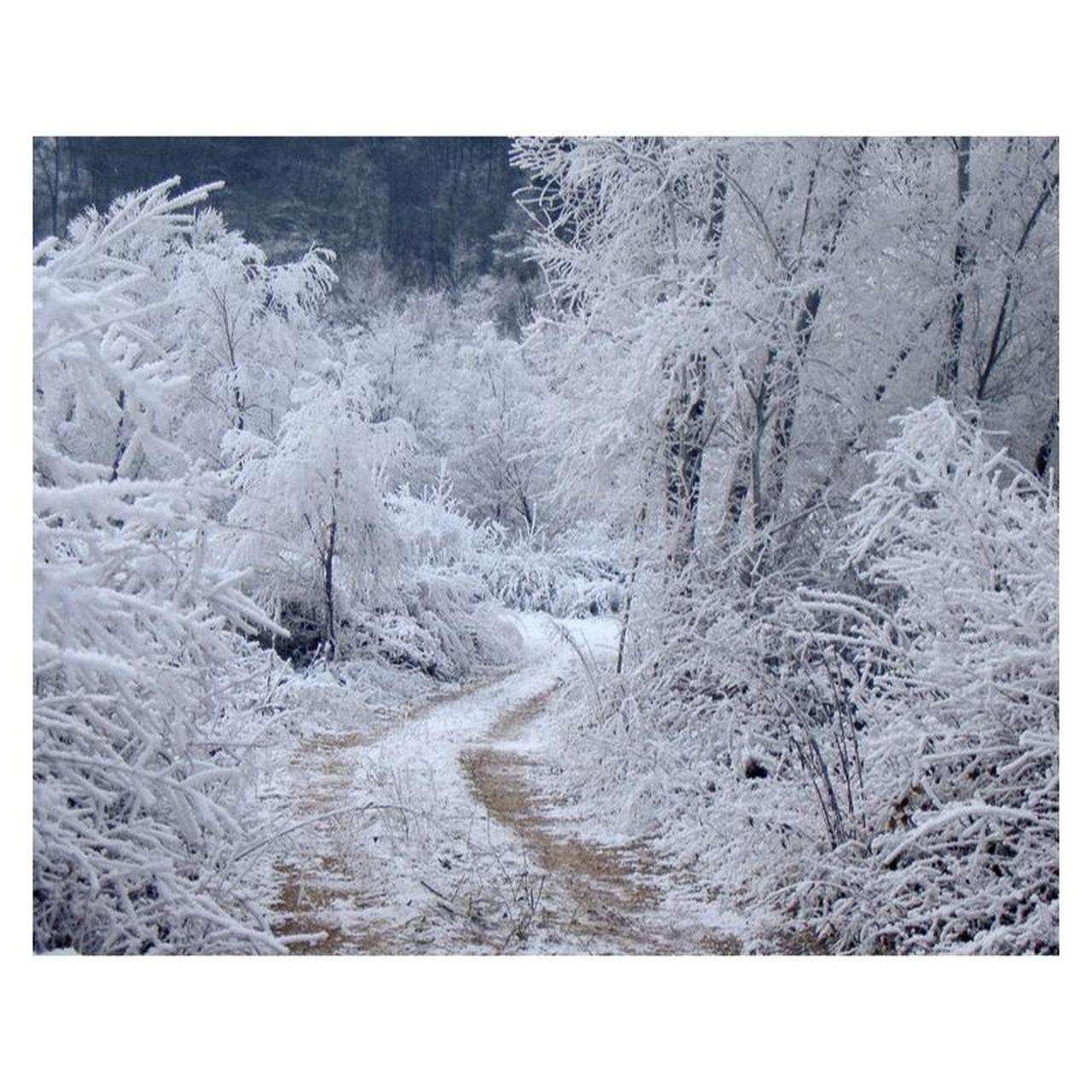 Pentax Optio 330 Digital Camera | 3.2MP | Tested & Working | Silver