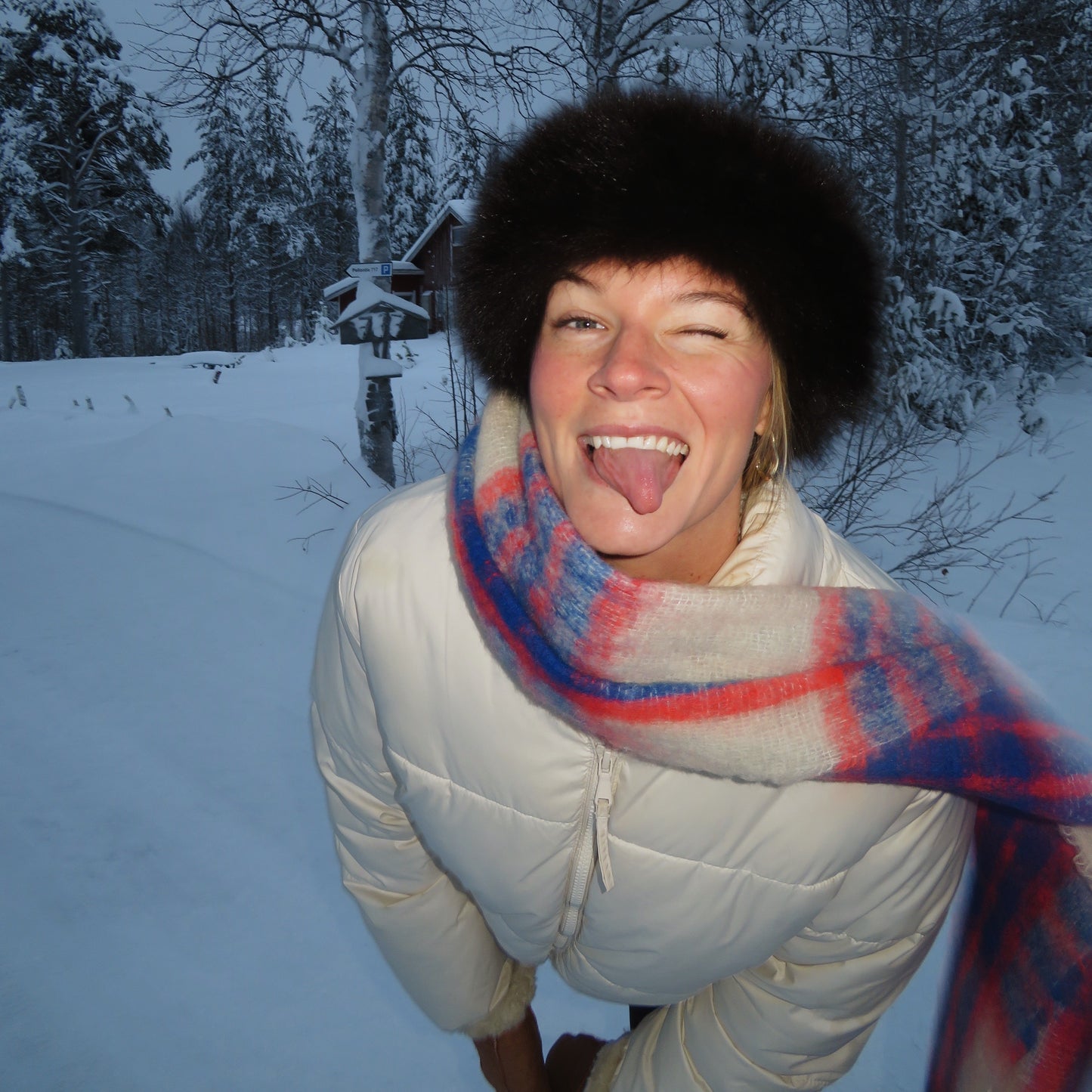 Canon PowerShot SX720 HS Digital Camera | 20.3MP | Tested & Working | Grey