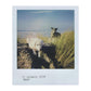 Polaroid OneStep Express | Instant Camera | Green