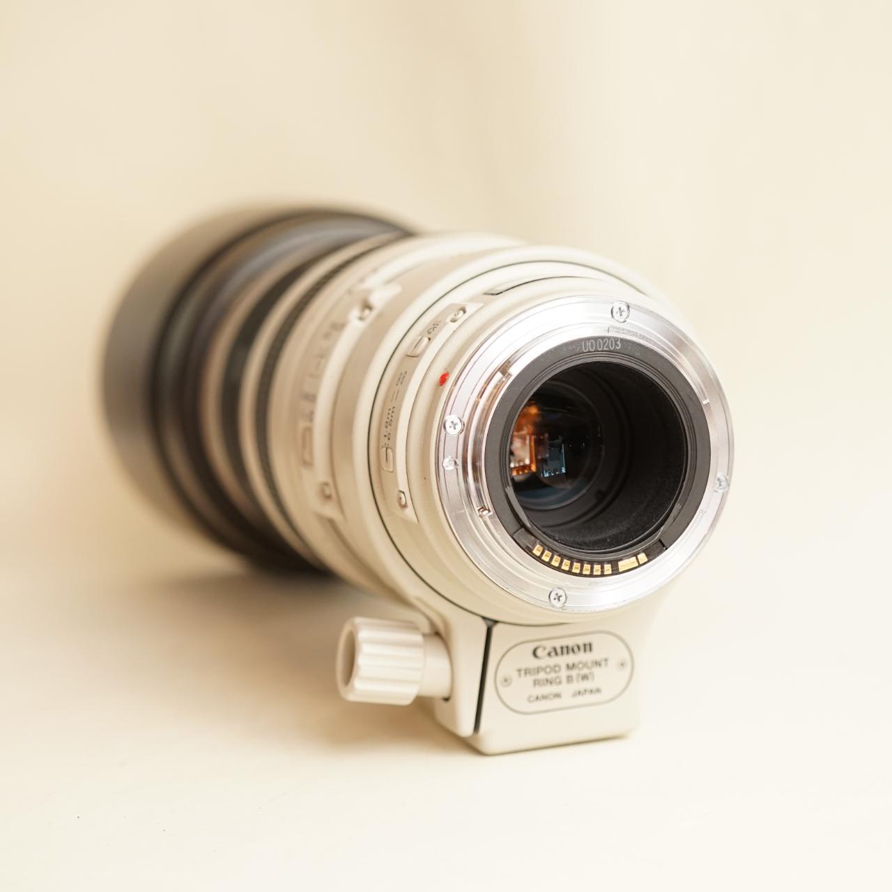 Canon EF 100–400mm Ultrasonic Zoom Lens | Tested & Working