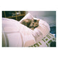 Olympus XA Film Camera | 35mm Point & Shoot | Tested & Working | Black