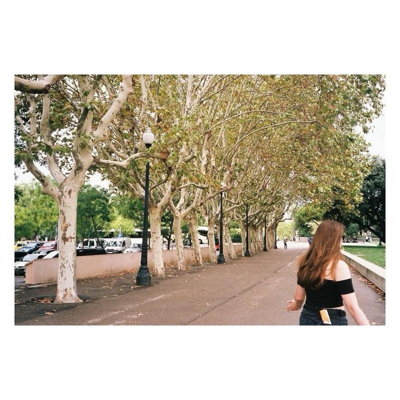 Olympus SuperZoom 115 | 35mm Point & Shoot | Tested & Working | Silver