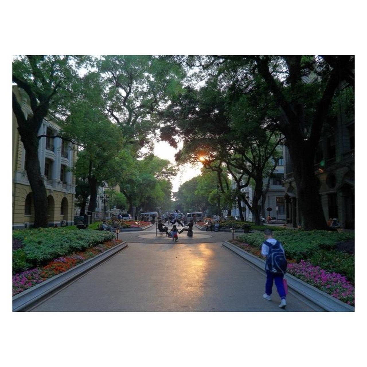 Samsung TL220 Digital Camera | 12.2MP | Tested & Working | Black & Blue