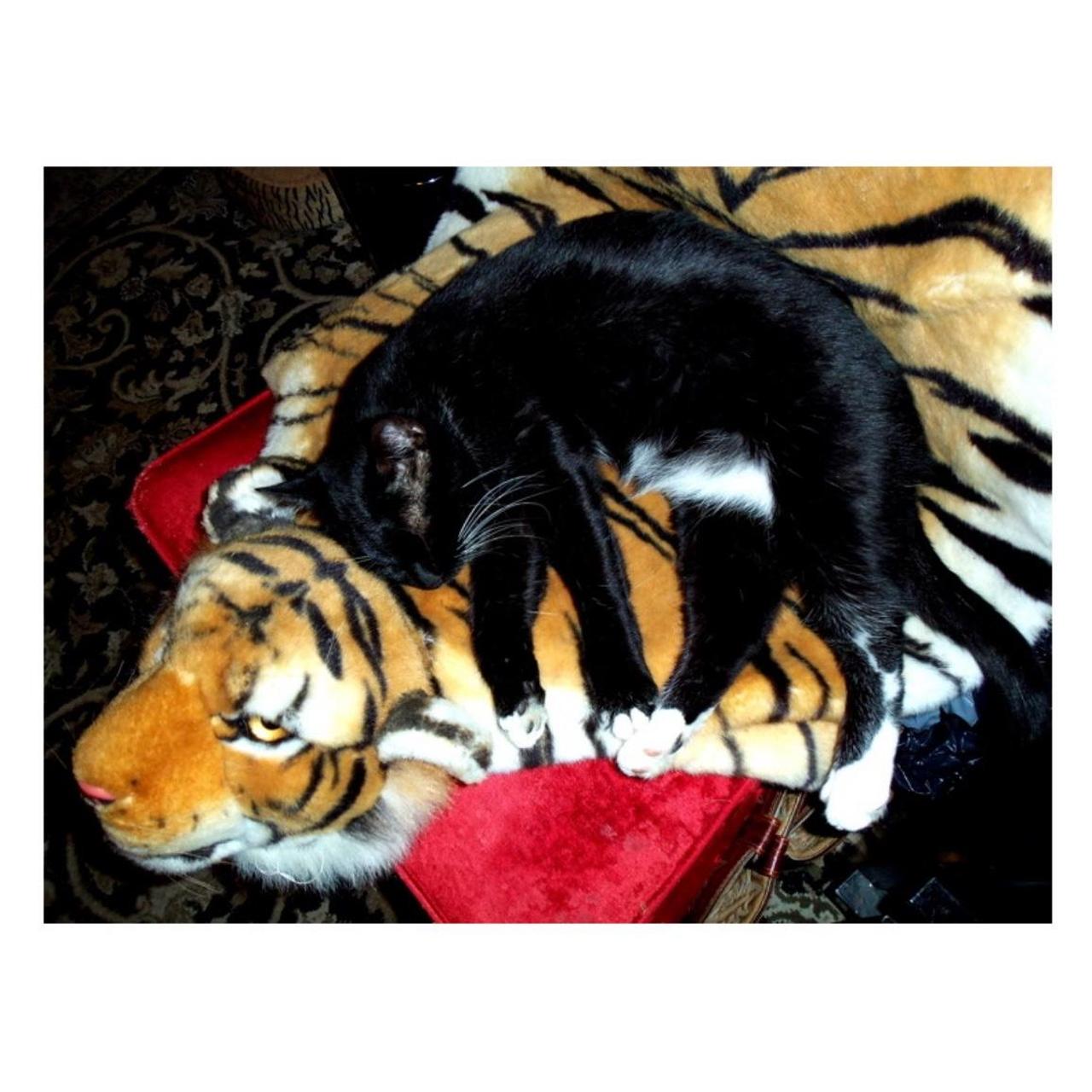 Kodak EasyShare M580 Digital Camera | 14MP | Tested & Working | Silver