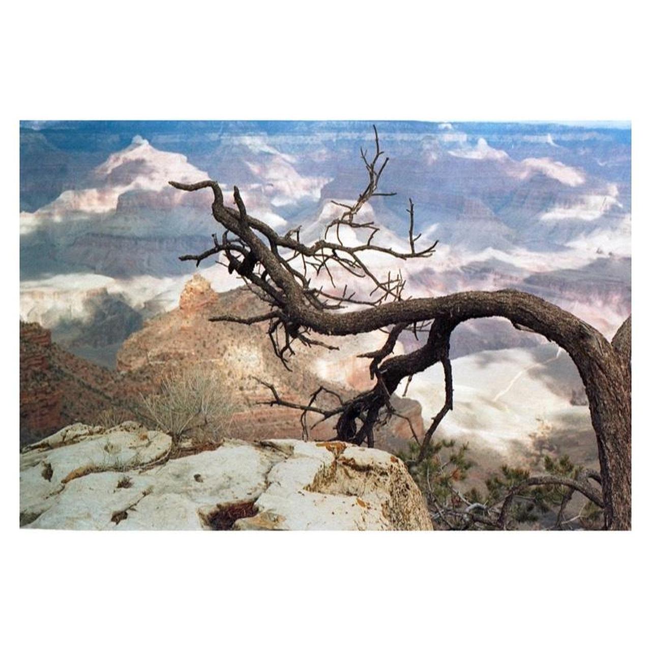 Minolta Maxxum 5000 Film Camera | 35mm SLR | Tested & Working | Black