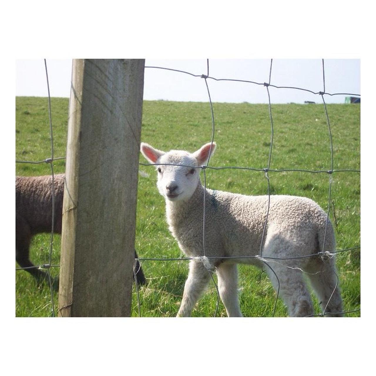 Kodak EasyShare M753 Digital Camera | 7MP | Tested & Working | Orange