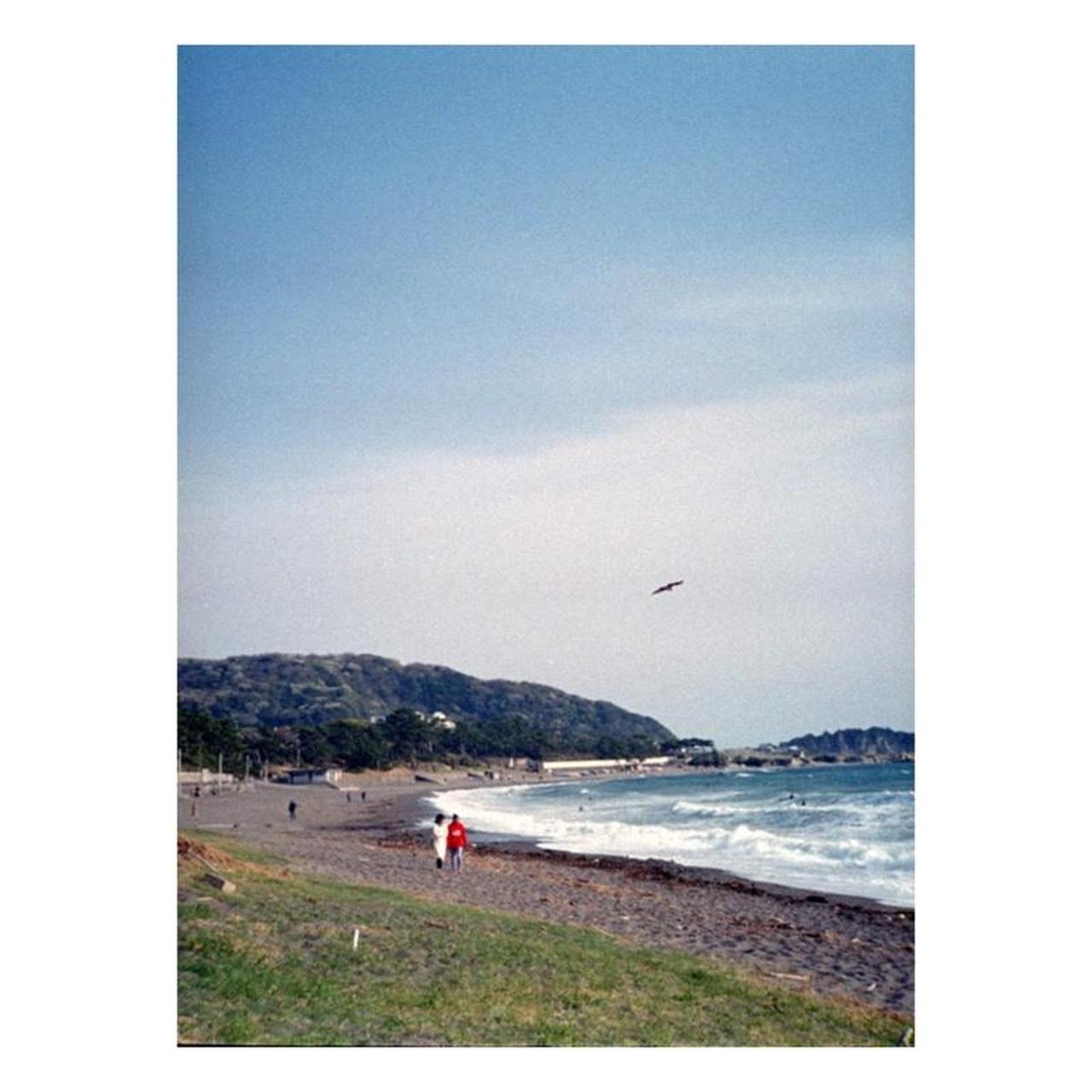 Canon Demi Film Camera | 35mm Half Frame | Tested & Working | Silver & Black