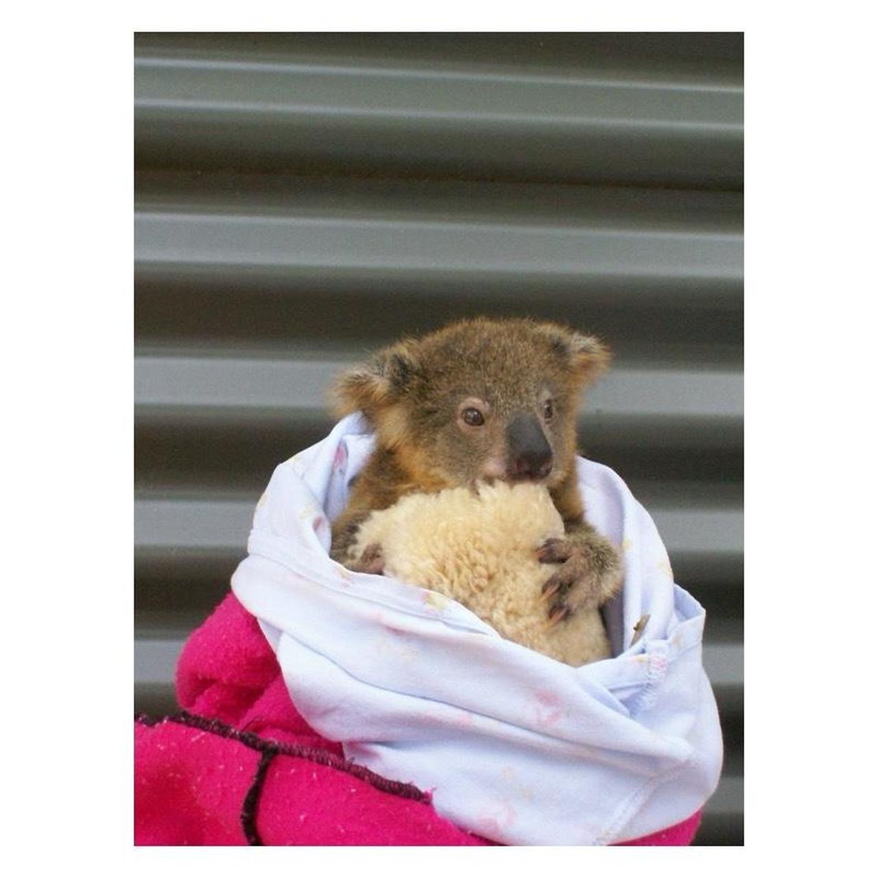 Kodak EasyShare C763 Digital Camera | 7.1MP | Tested & Working | Orange