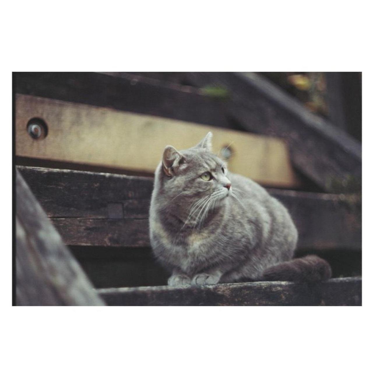 Pentax K1000 35mm SLR Film Camera | Tested & Working | Silver & Black