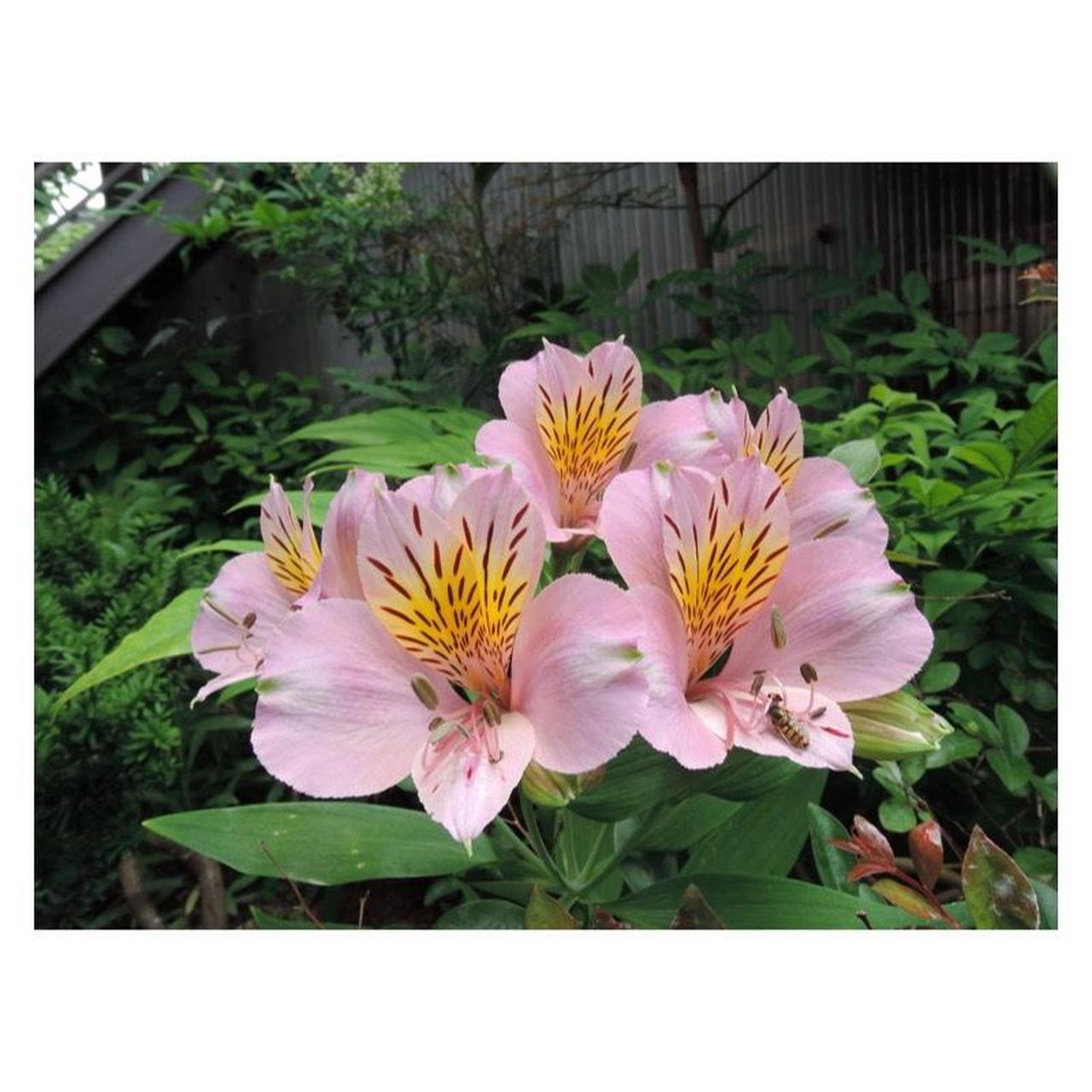 Nikon Coolpix P330 Digital Camera | 12.2MP | Tested & Working | Black