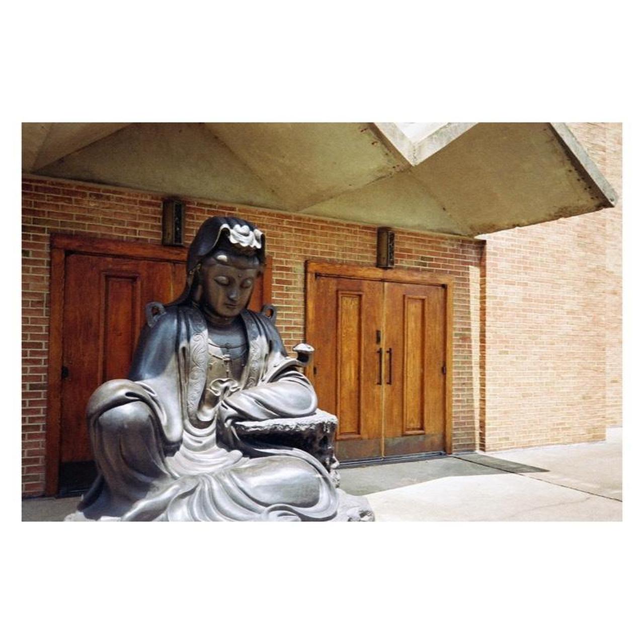 Kodak S300MD Film Camera | 35mm Point & Shoot | Tested & Working | Black