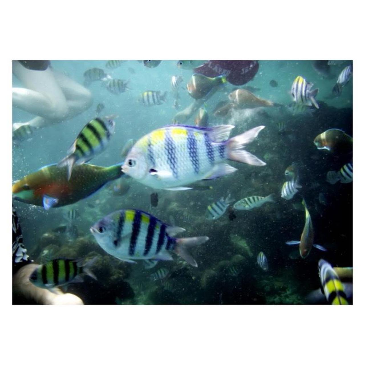 Olympus Stylus 720 SW Digital Camera | 7.1MP | Tested & Working | Silver