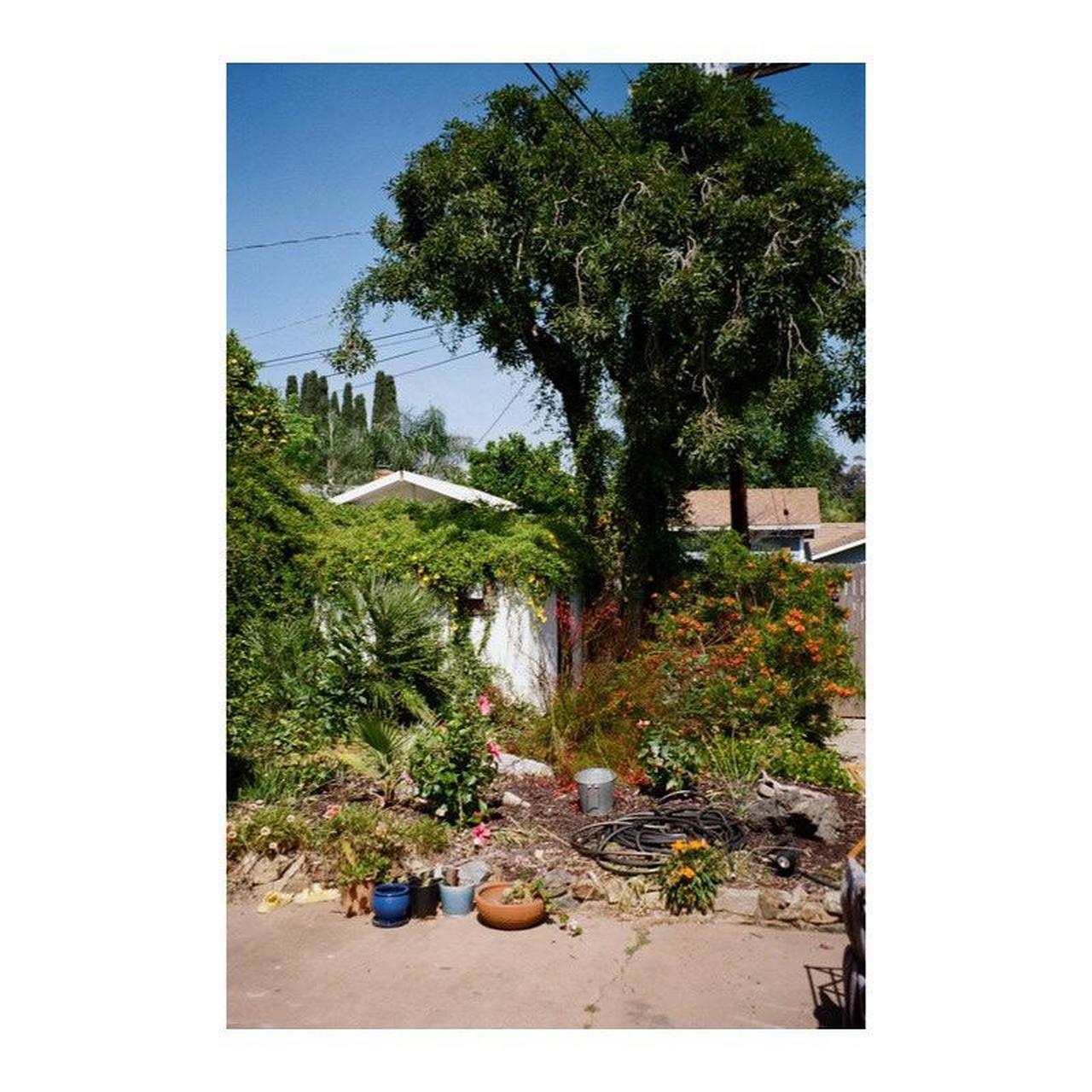 Pentax IQZoom EZY Film Camera | 35mm Point & Shoot | Tested & Working | Black