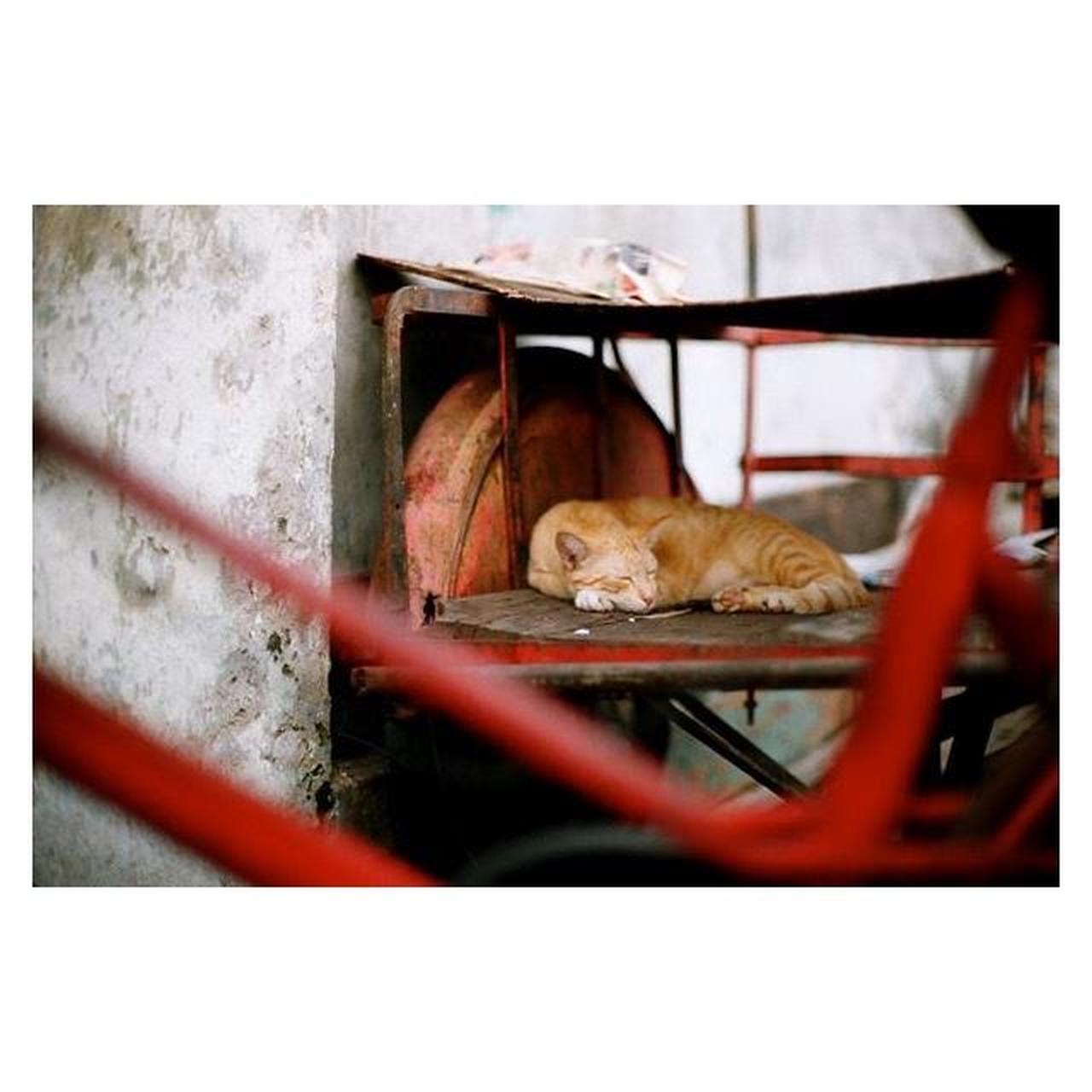 Minolta SRT Super | FULLY CLA'd | 35mm SLR Film Camera | Tested & Working | Silver & Black