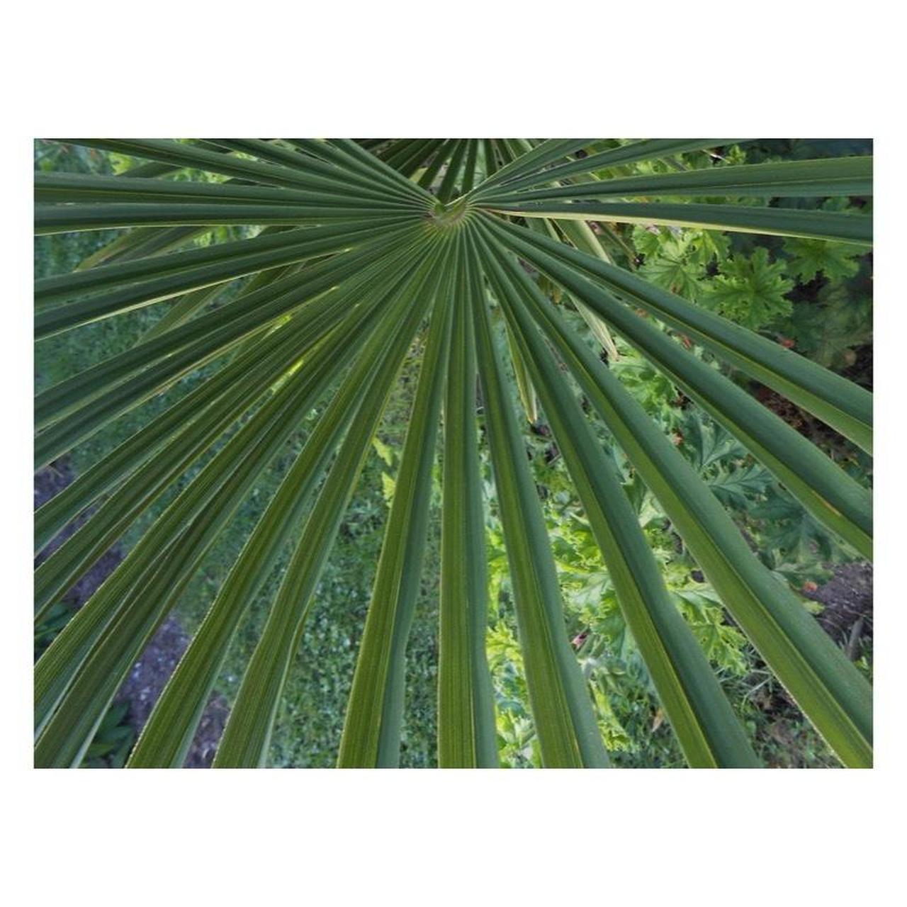 Nikon Coolpix S4200 Digital Camera | 16MP | Tested & Working | Black