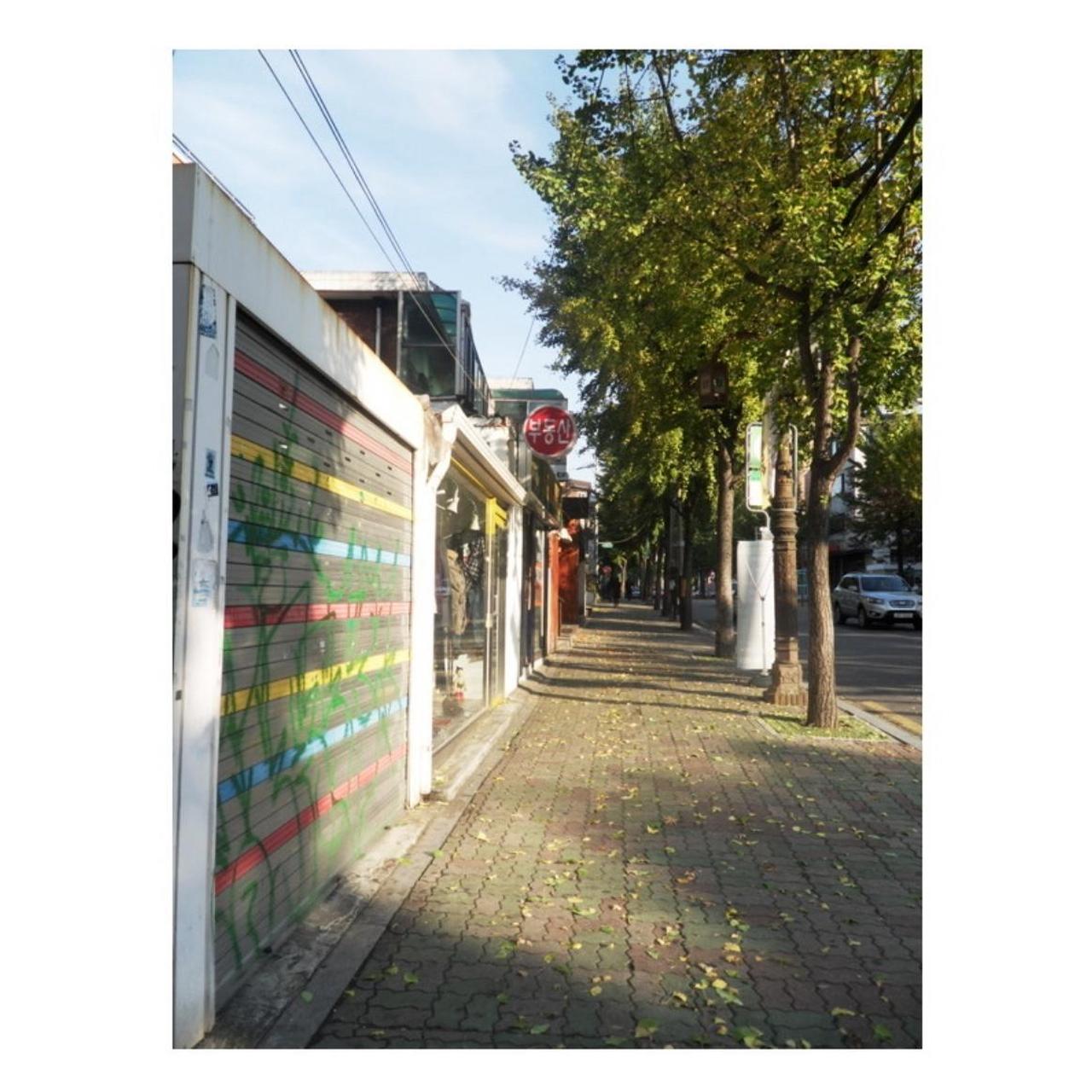 Samsung TL220 Digital Camera | 12.2MP | Tested & Working | Black w/ Red Trim