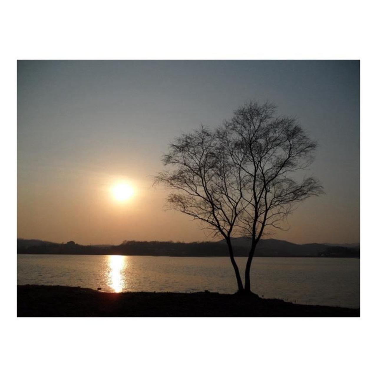 Samsung TL240 Digital Camera | 14.2MP | Tested & Working | Silver