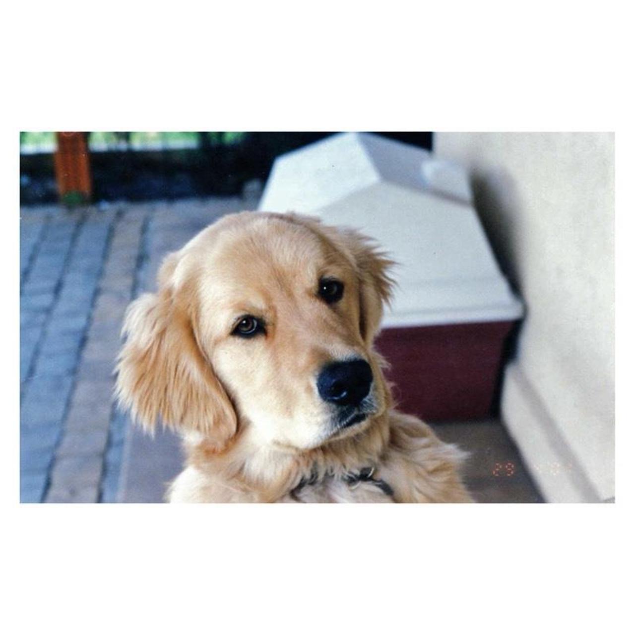 Olympus IS-20 Film Camera | 35mm SLR | Tested & Working | Silver