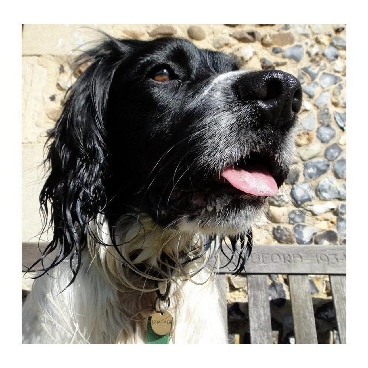 Sony CyberShot DSC-T99 Digital Camera | 14.1MP | Tested & Working | Silver