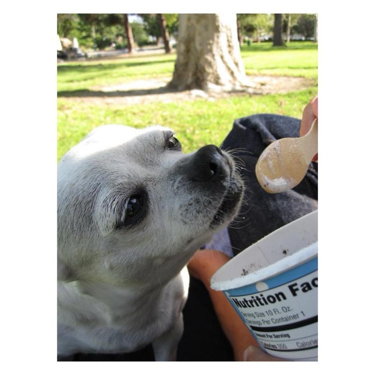 Canon PowerShot SD780 IS Digital Camera | 12.1MP | Tested & Working | Red