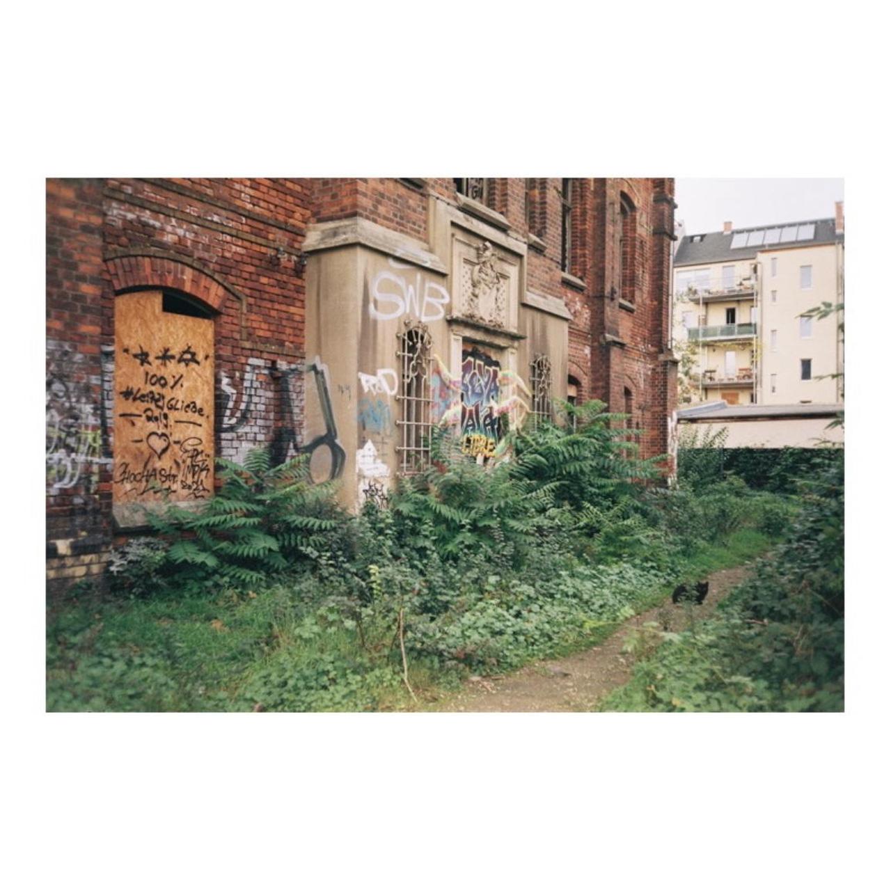 Olympus µ[mju:] I Film Camera | 35mm Point & Shoot | Tested & Working | Silver