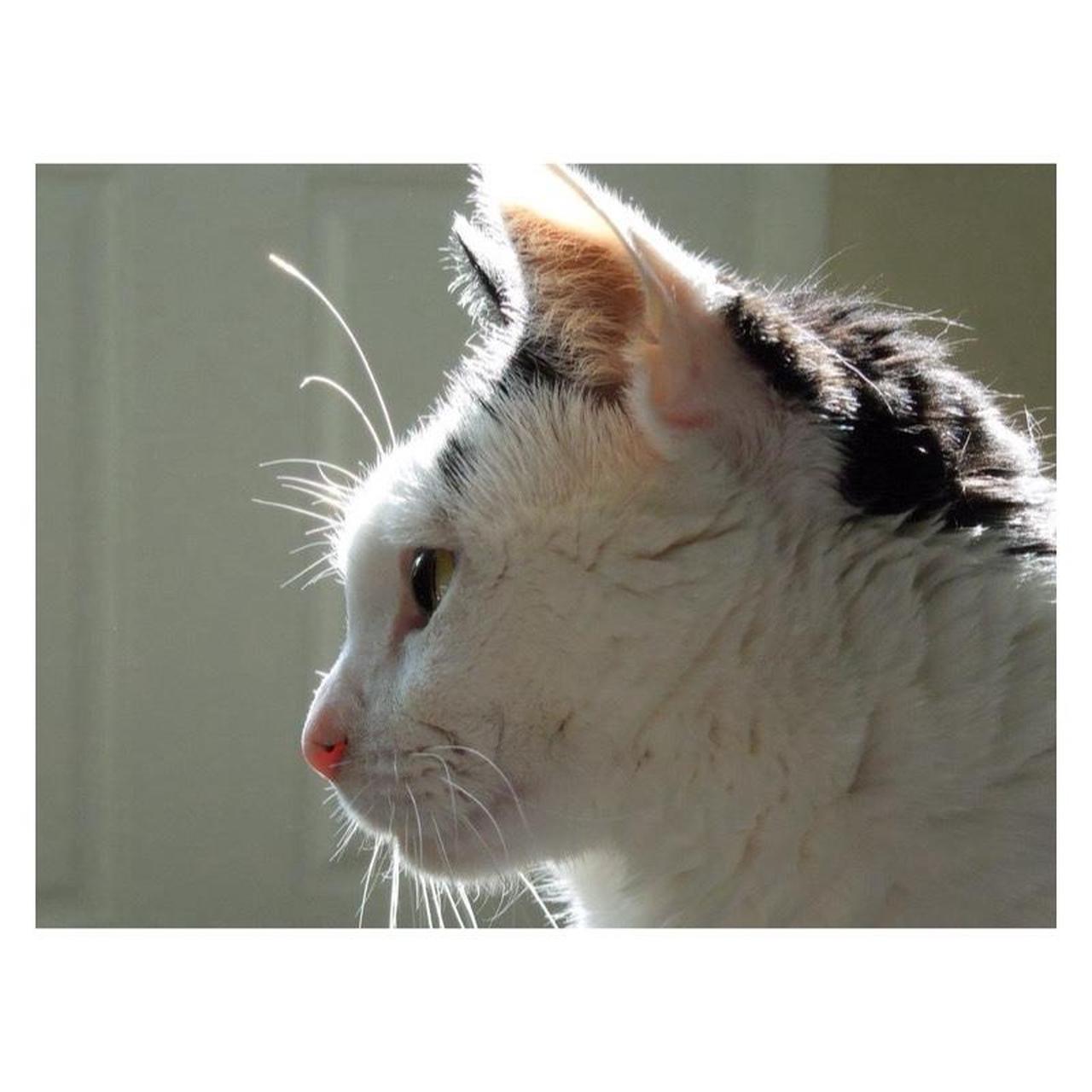 Nikon Coolpix S8200 Digital Camera | 16.1MP | Read Description | Black